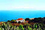 La Palma Landhaus mit Internet (8811)