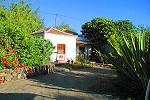 La Palma Finca in ruhiger Lage bei Puntagorda (8828)
