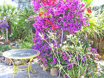 Lauschige Ecke im Garten Lauschige Ecke im Garten