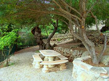 Schattiger Sitzplatz im Garten