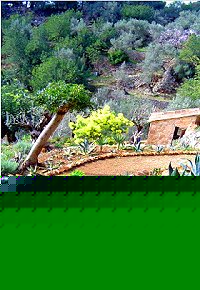 Mallorca einfaches Ferienhaus in den Bergen 