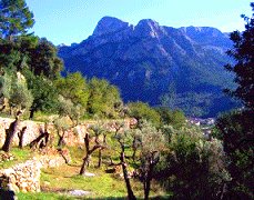 Mallorca einfaches Ferienhaus in den Bergen 