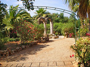 Garten der Finca Garten der Finca