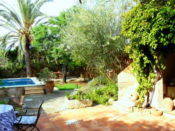 Pool und Garten
