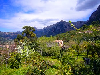 Ruhige Lage und Panoramablick genießen Ruhige Lage und Panoramablick genießen