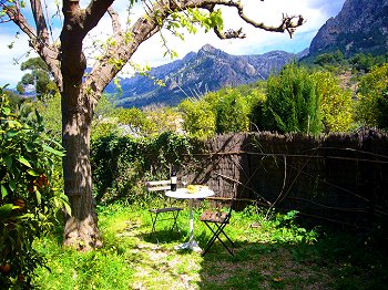 Sonniger Garten Sonniger Garten