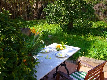 Preiswertes Ferienhaus mit Obstgarten Preiswertes Ferienhaus mit Obstgarten