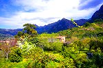 Preiswertes Ferienhaus auf Mallorca am Stadtrand von Soller (Nr. 0231)