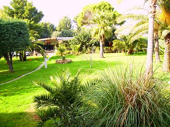 Weitläufiger Garten Weitläufiger Garten