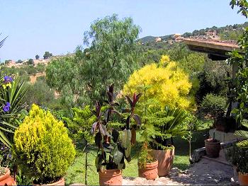 Garten in ruhiger Lage 