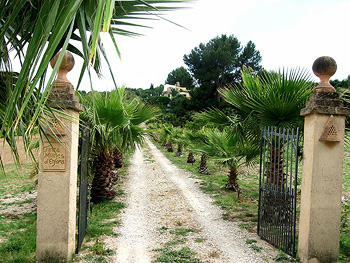 Studio auf einer Finca bei Montuíri