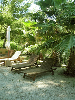 Terrasse im mediterranen Garten Terrasse im mediterranen Garten