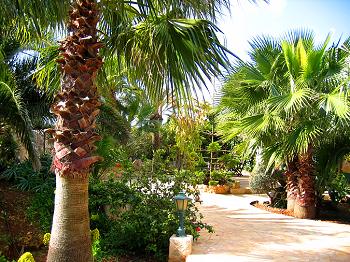 Garten der Finca Garten der Finca