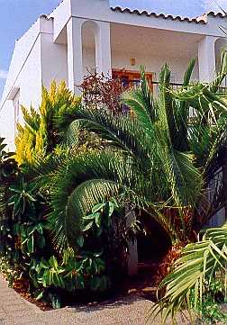 Haus Mallorca