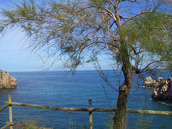 Ferienhaus am Meer Ferienhaus am Meer