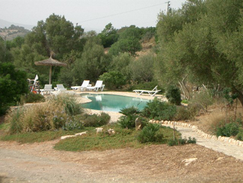 Pool mit Sonnenliegen Pool mit Sonnenliegen