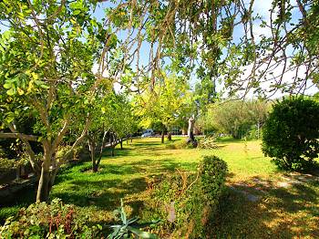 Gepflegter Garten