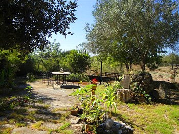 Idylle pur - Familien-Finca mit Garten Idylle pur - Familien-Finca mit Garten