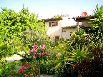 Ferienhaus mit schönem Garten Ferienhaus mit schönem Garten