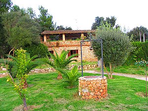 Ferienhaus im Grünen Ferienhaus im Grünen