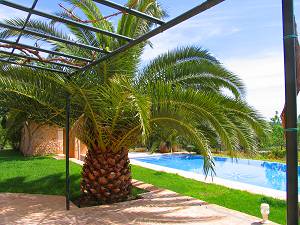 Pool Pool