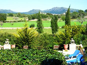 Blick auf Arta und die Berge