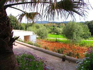 Garten Garten