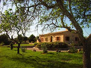 Garten der Ferien-Finca Garten der Ferien-Finca