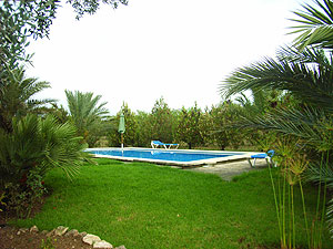 Garten mit Pool Garten mit Pool