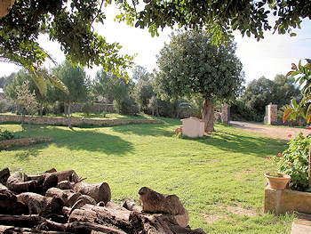 Garten Garten
