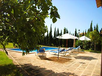 Pool mit Sonnenterrasse Pool mit Sonnenterrasse