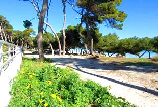 Sandstrand vor dem Garten