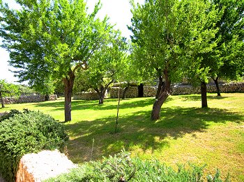 Mediterraner Garten