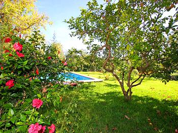 Pool und Garten Pool und Garten