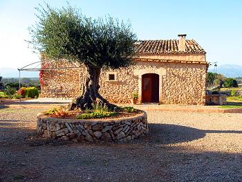 Finca