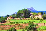 Finca-Hotel auf Mallorca, Pool, Tramuntana Gebirge (Nr. 0309)