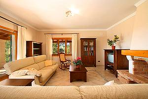 Wohnzimmer mit Kamin und Couchgarnitur Wohnzimmer mit Kamin und Couchgarnitur