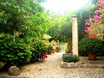 Finca mit Garten