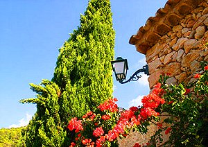Detail Finca Hotel
