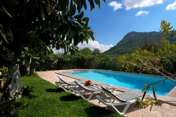 Pool im Garten
