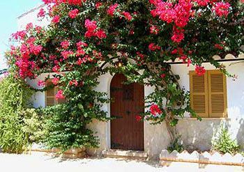 Finca-Hotel Eingang Studio