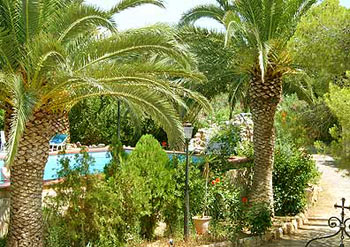 Palmengarten