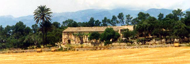 Ursprüngliche mallorquinische Finca Ursprüngliche mallorquinische Finca