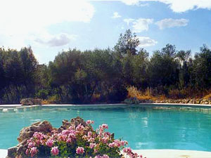 Pool Pool