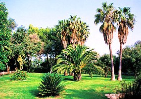 wunderschöne Gartenanlage wunderschöne Gartenanlage