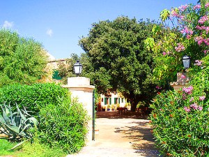 Finca an der Ostküste Finca an der Ostküste