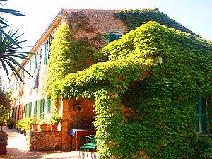 Appartements und Doppelzimmer Appartements und Doppelzimmer