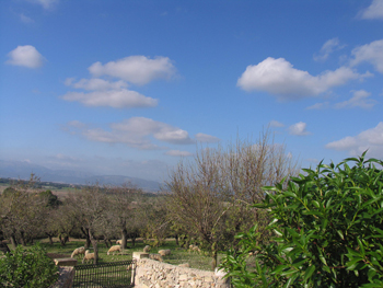 Umgebung der Finca Umgebung der Finca