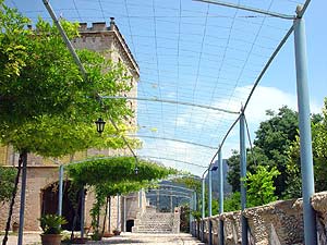 Landgut Mallorca Landgut Mallorca