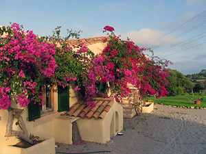 Casa Casa